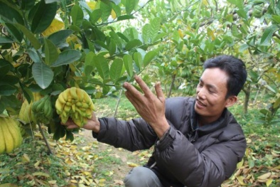 'Phất' nhờ Phật thủ